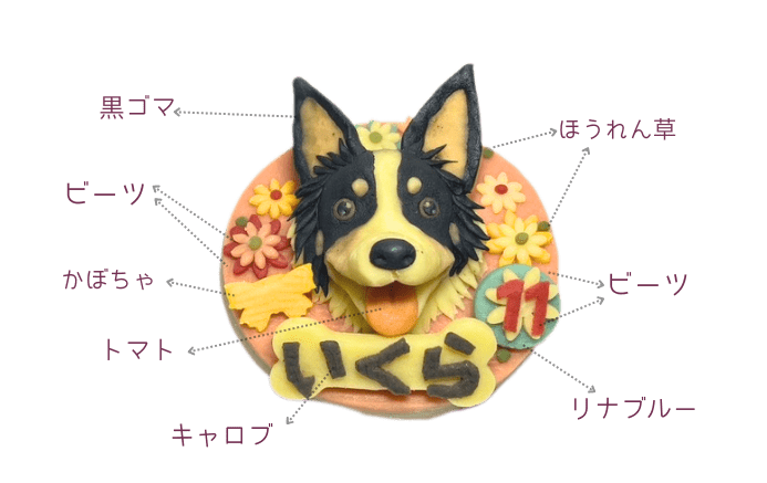 HP画像（693 x 437 ） (3)