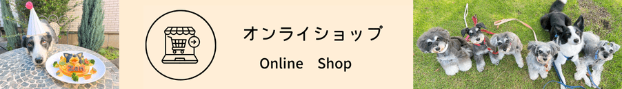 ホームページ用(374 x 130）のコピー