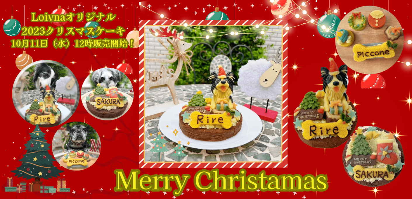 2023クリスマスケーキ