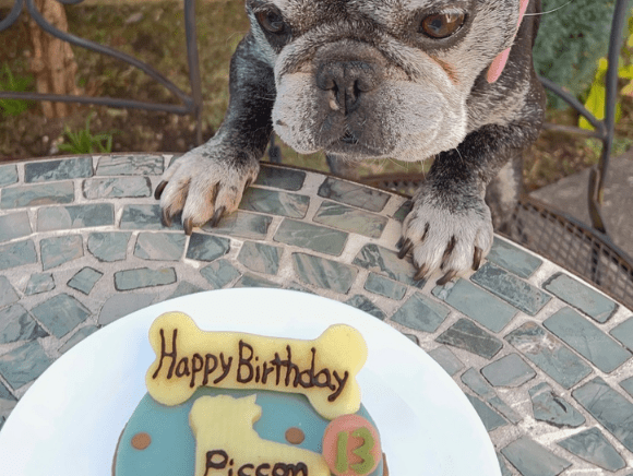 シルエットピッコン