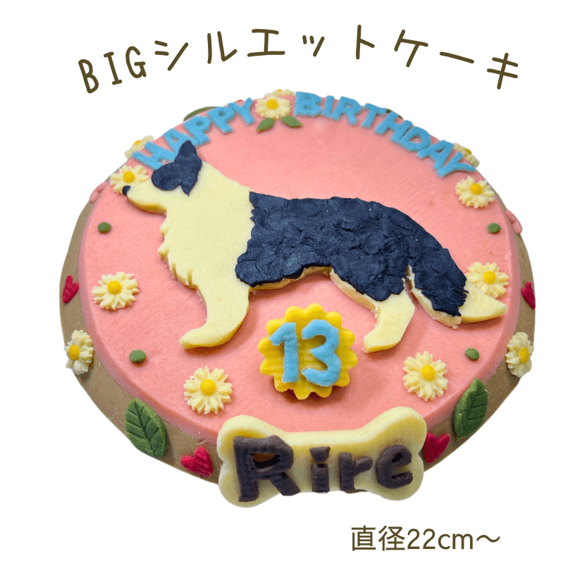 HP画像（823 x 823）