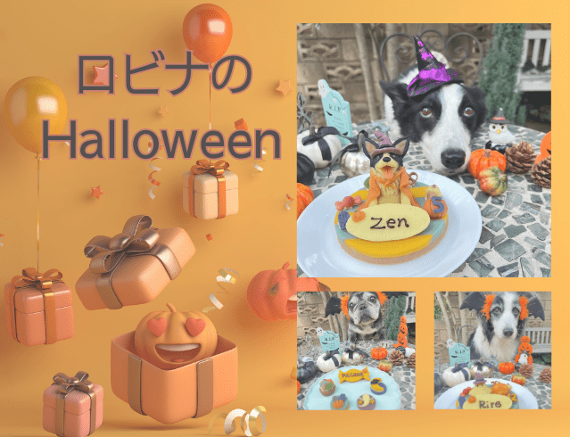 2025Halloweenスマホ (639 × 490 px)