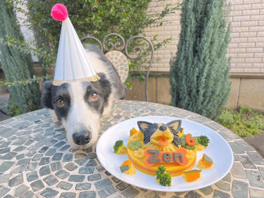 HP画像（374 x 281 ）のコピー