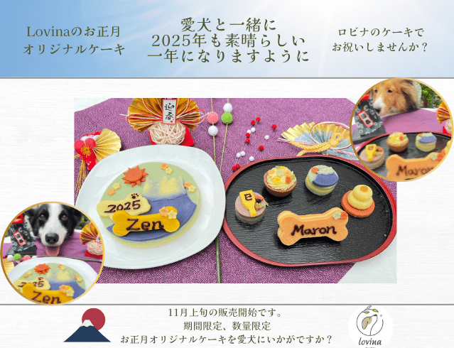 Rさま専用ページです♡ ♡╰(*´︶`*)╯♡様♡専用ページ♡ - メルカリ