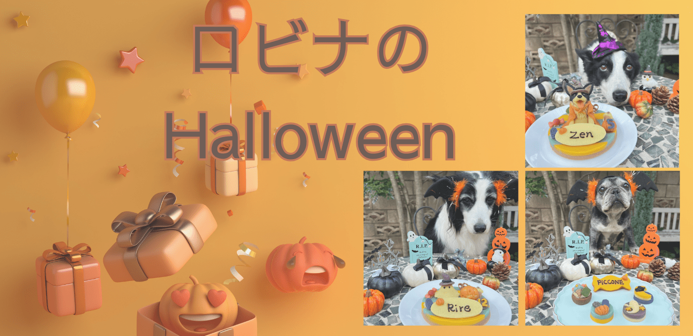 2025HalloweenスライダーPC