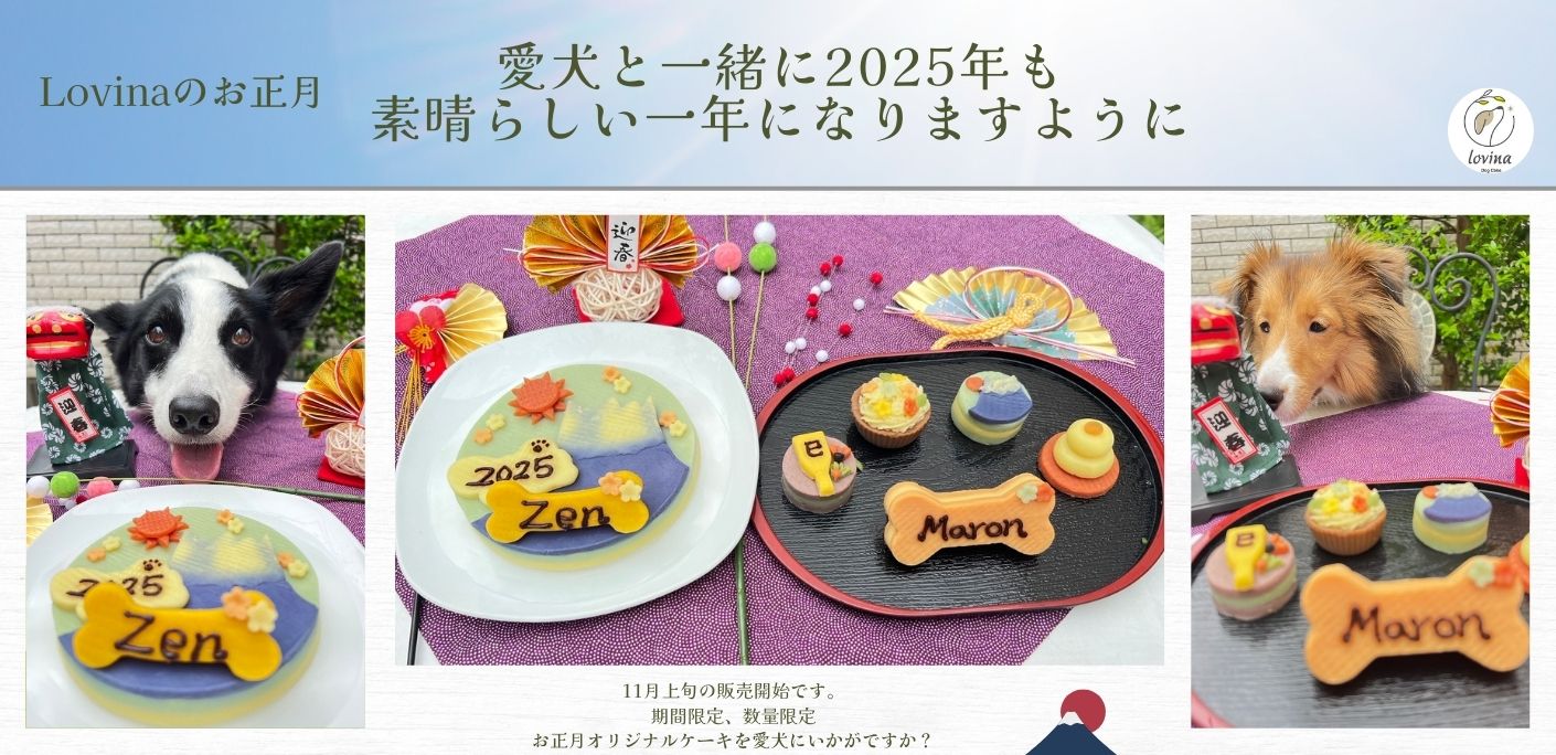 こいぬ様オーダー品　他の人は購入出来ません こいぬ様オーダー品他の人は購入出来ません