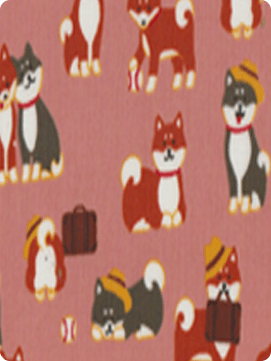 柴犬